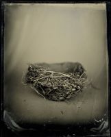 Froelick Gallery
